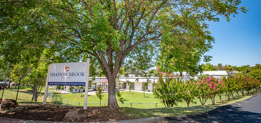 shadowbrook-848x400-1 Woman