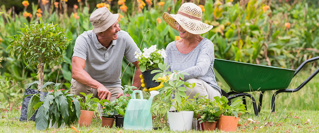 Elderly residents gardening